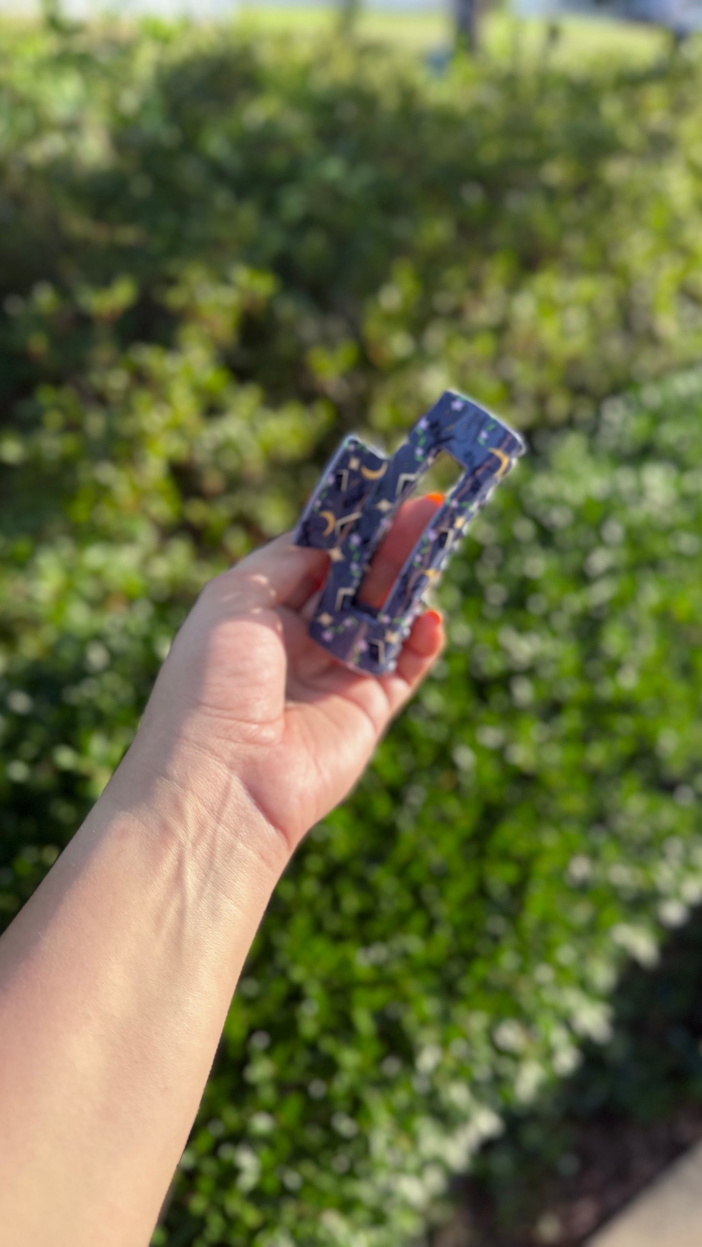Book Dragon Claw Clip
