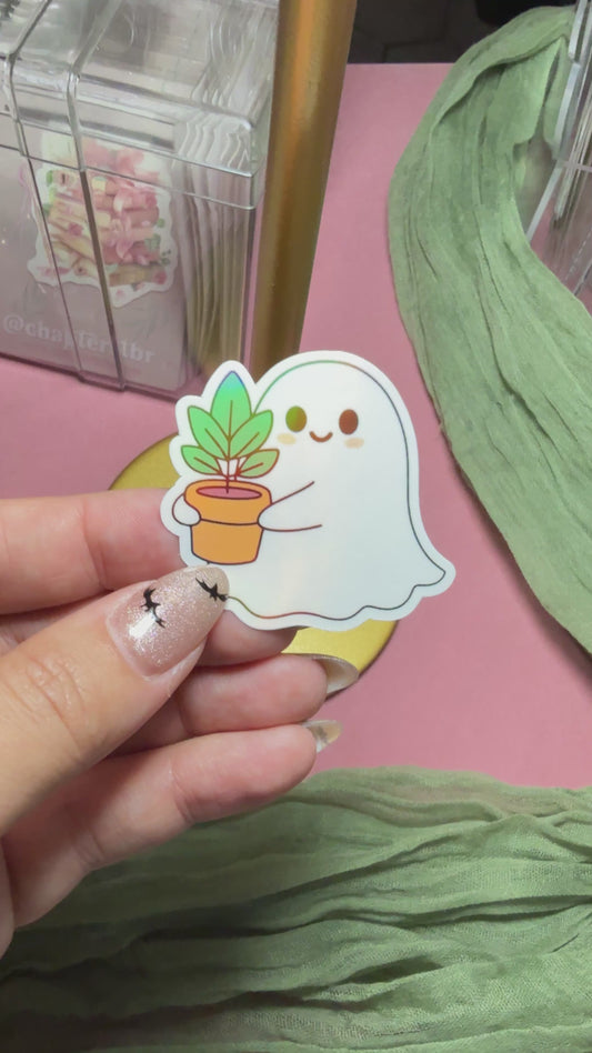 Plant boo ￼